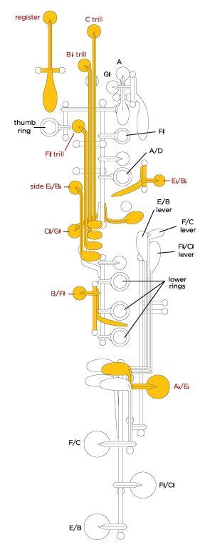 Clarinet Keys Clarinet Clarinet Music Flute Music