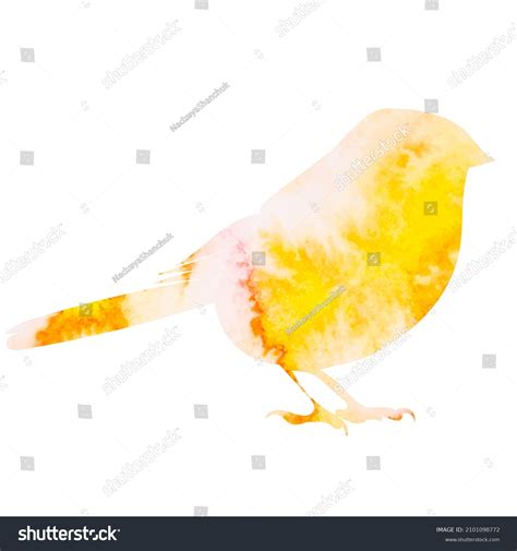 Bird Yellow Watercolor Silhouette Isolated Vector Stock Vector (Royalty ...