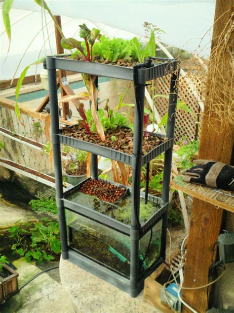 Useful Diy Aquaponics Systems And Plans Blitsy