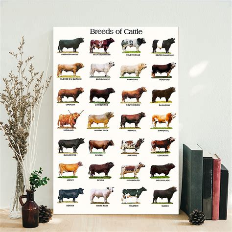 Farming Breeds Of Cattle Farmer Poster – TeeUni