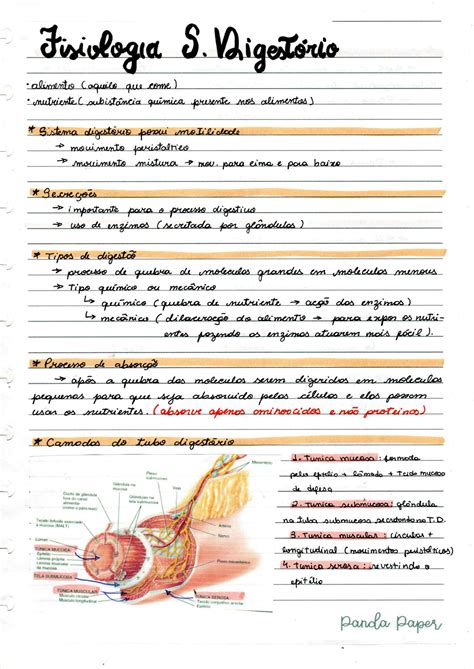 SOLUTION Fisiologia Sistema Digest Rio Studypool