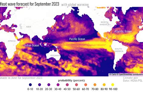 M S Olas De Calor Marinas Significar An Un Desastre Para La Vida