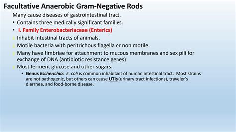 SOLUTION: Gram negative rods ,bacteria,Shape,Structure and classification . - Studypool