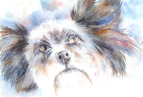 Mr Pepper Aquarellmalerei Pfeffer Aquarell Hund Von Thomas