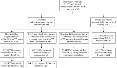 Outcome Of Fetuses With Lower Urinary Tract Obstruction And Normal