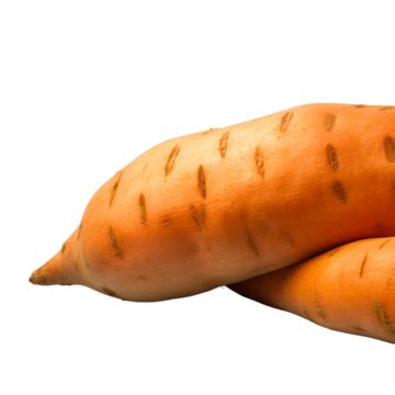 Hd D Batata Fresca Sobre Fondo Transparente Png Dibujos Hd D Batata