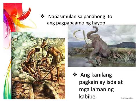 panahon ng bato pptx
