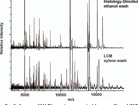 Pdf A Novel Histology Directed Strategy For Maldi Ms Tissue Profiling That Improves Throughput