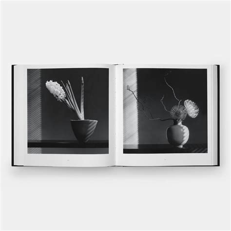 Mapplethorpe Flora Photography Store Phaidon