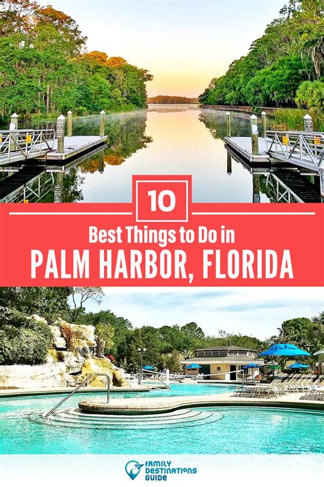 10 Best Things To Do In Palm Harbor Fl For 2023