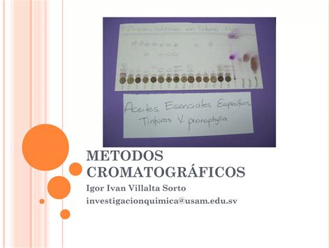 Clase Metodos Cromatogr Ficos Ppt Descarga Gratuita