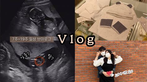 Vlog 임신 7주~19주차 일상 브이로그🤰🏻 16주차 성별 확인하기 사랑이 샘솟는 양말부부 그리고 쑥쑥 크는