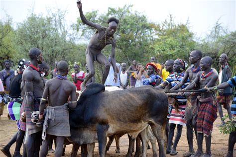 Hamar Tribe Bull Jumping Ceremony 2021 AMAN ETHIOPIA TOURS