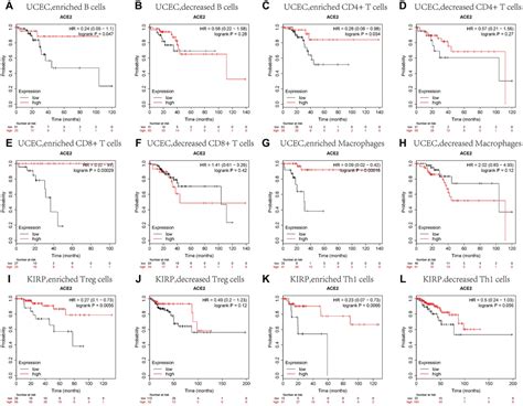 Ace Correlated With Immune Infiltration Serves As A Prognostic