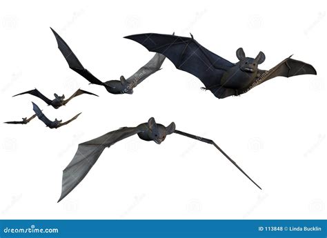 Flying Bats - Includes Clipping Path Royalty Free Stock Photos - Image: 113848