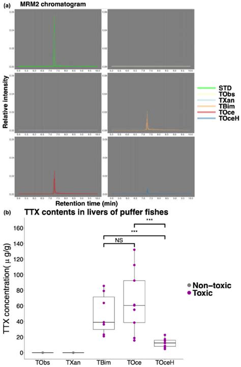 Puffer Fish Livers Tetrodotoxin Ttx Contents Detected By Lc Ms Ms