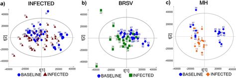 Principal Component Analysis Pca Scores Plots For H Nmr Spectra From