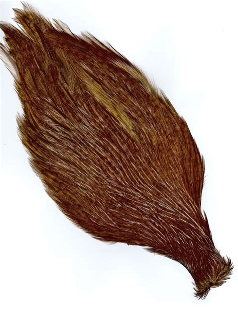 chinese rooster necks