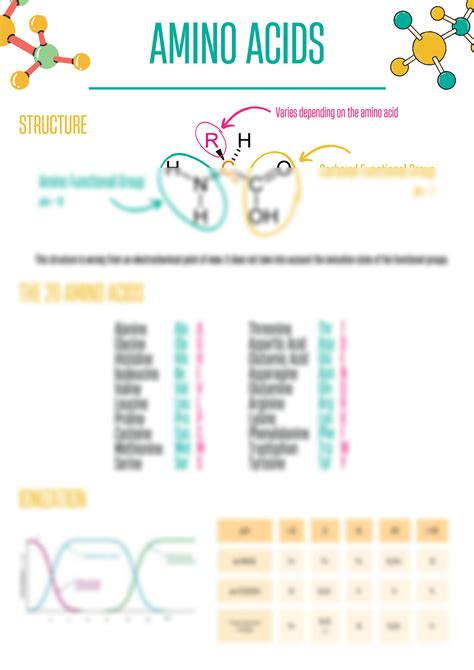 SOLUTION Amino Acids And Proteins Studypool