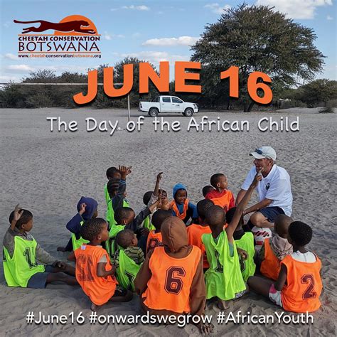 Cheetah Conservation... - Cheetah Conservation Botswana