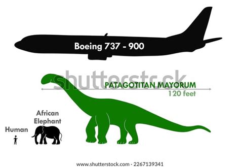 87 Human Dinosaur Comparison Images, Stock Photos & Vectors | Shutterstock