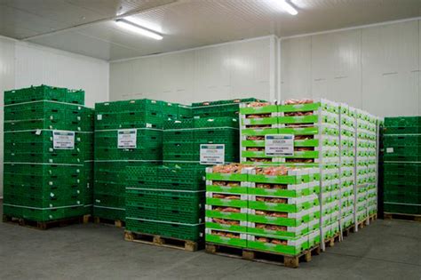 Tabuenca Dona 10 000 Kilos De Verduras A Los Bancos De Alimentos Cuellar7