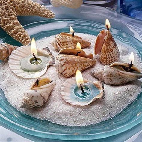 20 Cool Seashell Project Ideas Hative