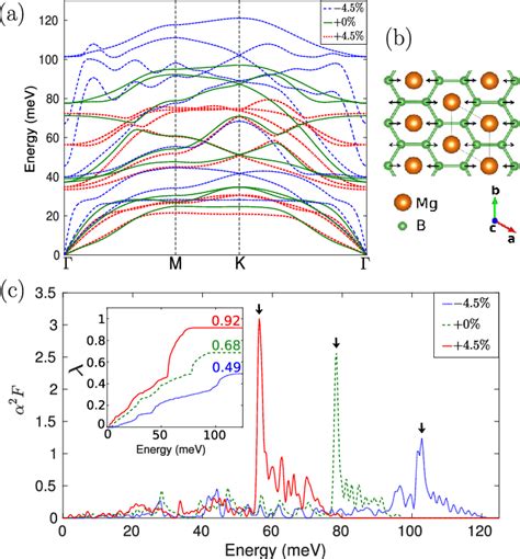 Phonons And Electron Phonon Coupling Of Biaxially Strained One Ml Mgb 2 Download Scientific