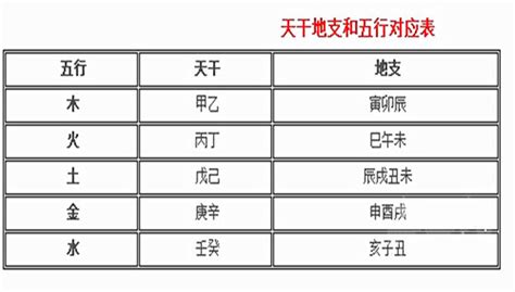 天干地支五行阴阳属性对照表易巨网