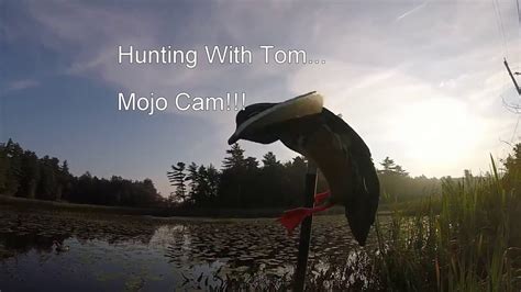 Hunting With Tom Maine Duck Opener Youtube