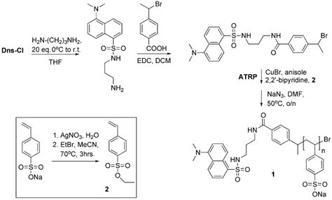 Scheme 1 Synthesis Of Labelled Polystyrene Sulfonate Dns Pss For