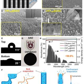 design  characterizations  cnt array membranes   schematic