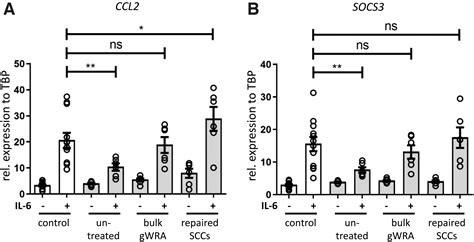 Rescue Of Stat3 Function In Hyper Ige Syndrome Using Adenine Base