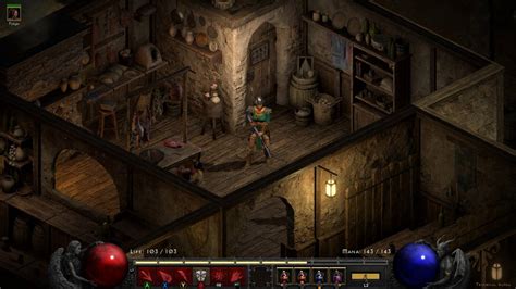 Diablo 2 Resurrected Switch Physical