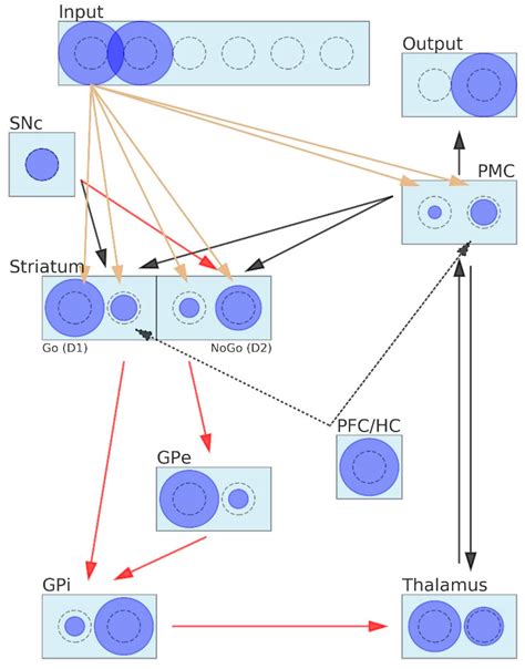 Brain Sciences Free Full Text Coarse Grained Neural Network Model