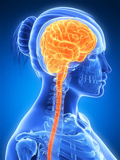 Brain Fog Matters Because It Can Be A Symptom Of Brain Degeneration