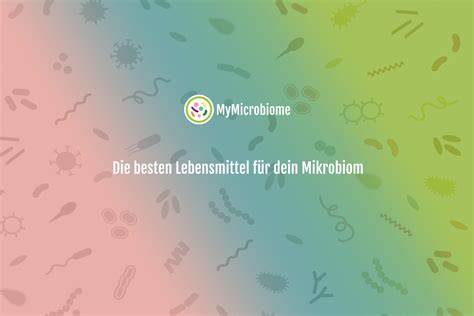 besten Lebensmittel für dein Mikrobiom MyMicrobiome