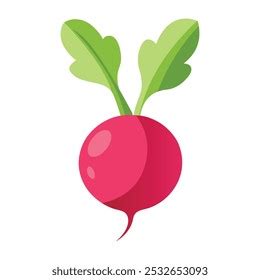 Radish Drawing Royalty Free Images Stock Photos Pictures Shutterstock