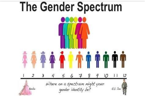 3 Conceptions Différentes Du Rapport Sexe Genre Et Des Utérus à Transplanter Le Club De