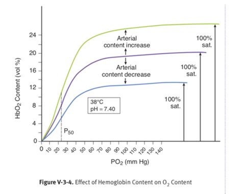 Oxygen Hemoglobin Dissociation Curves Flashcards Quizlet