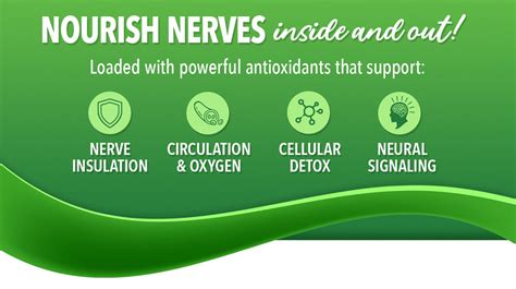 Nerve Miracle™ Natural Superior Nerve Support Dr Stephanies