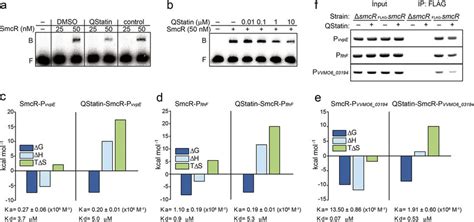 Qstatin Affects The Interaction Between Smcr And Target Promoter Dnas