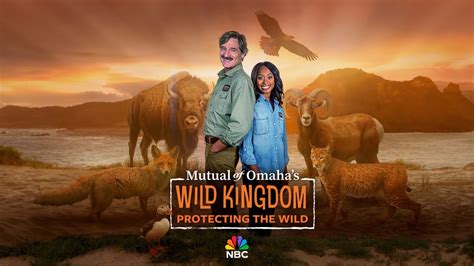 60 Years After It Premiered ‘mutual Of Omahas Wild Kingdom Returns