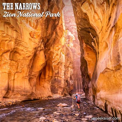 Day Hiking The Narrows Bottom-Up [Ultimate Guide] • Zion National Park