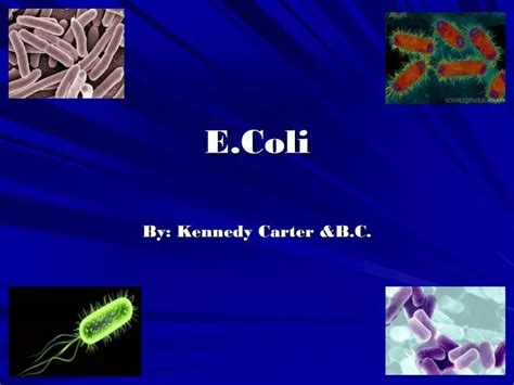 Ppt Ecoli Powerpoint Presentation Free Download Id3996401