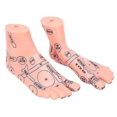 1 Pair Human Feet Acupoint Model Foot Reflexology Acupuncture Point