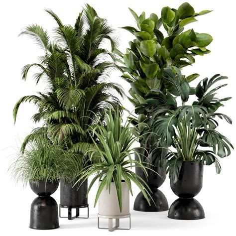 Indoor Plants In Ferm Living Bau Pot Large-set 220 - 3D Model for VRay, Corona