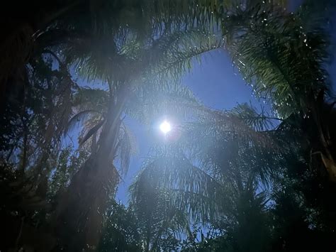 Paradise