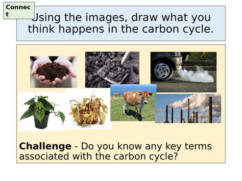 Edexcel A Level The Carbon Cycle And Energy Security L1 Stores