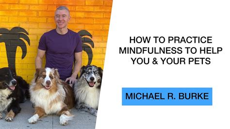 How To Practice Mindfulness To Help You And Your Pets Youtube